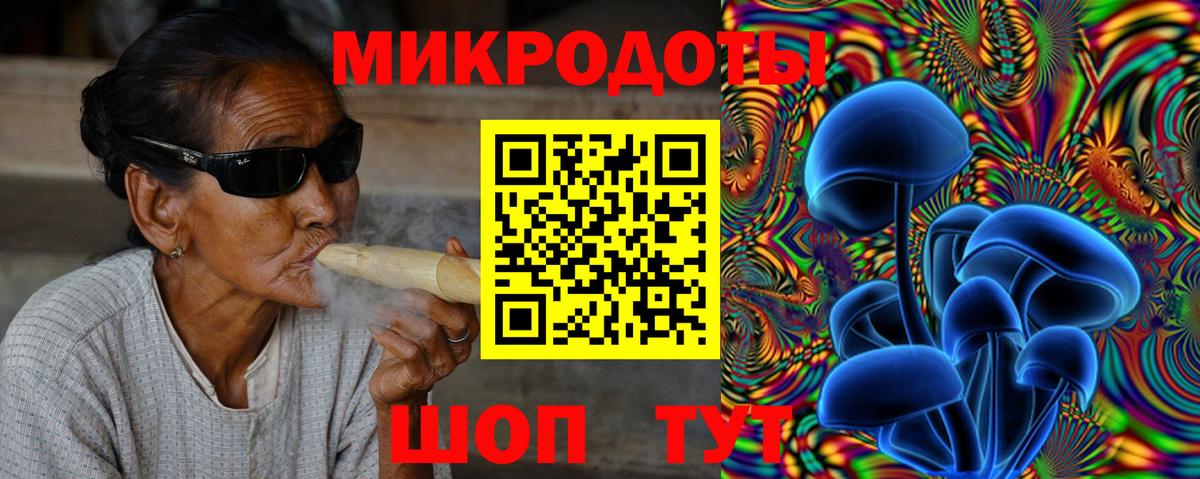 Псилоцибиновые грибы Cubensis Дзержинск